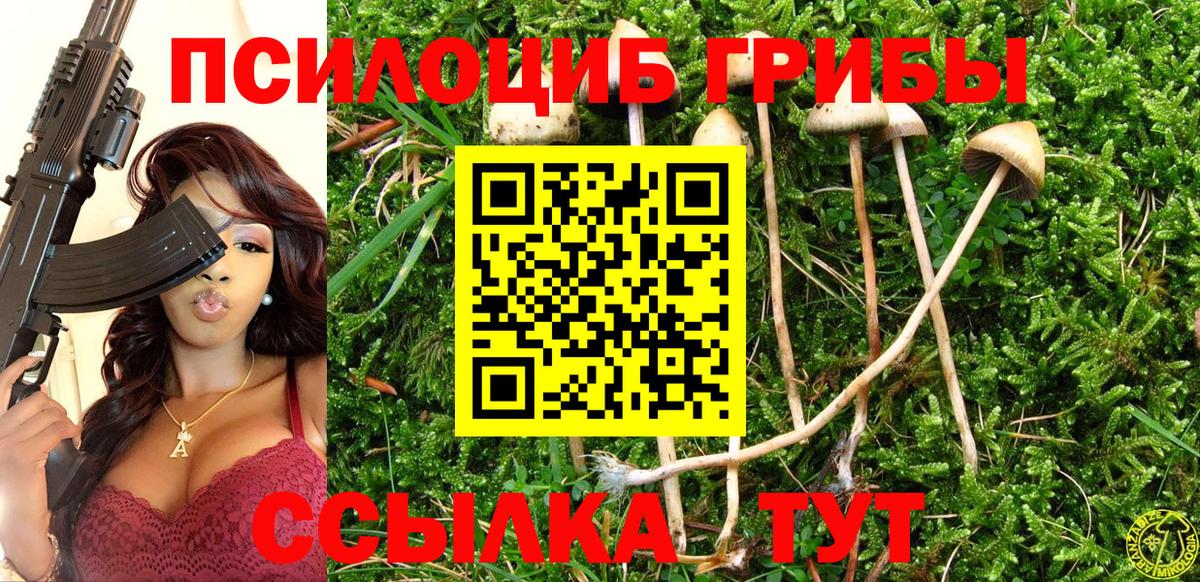 Кириши  Псилоцибиновые грибы ЛСД  Псилоцибиновые грибы Magic Shrooms  закладка  Вход с VPN 